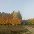 #przyroda #jesień #kolory