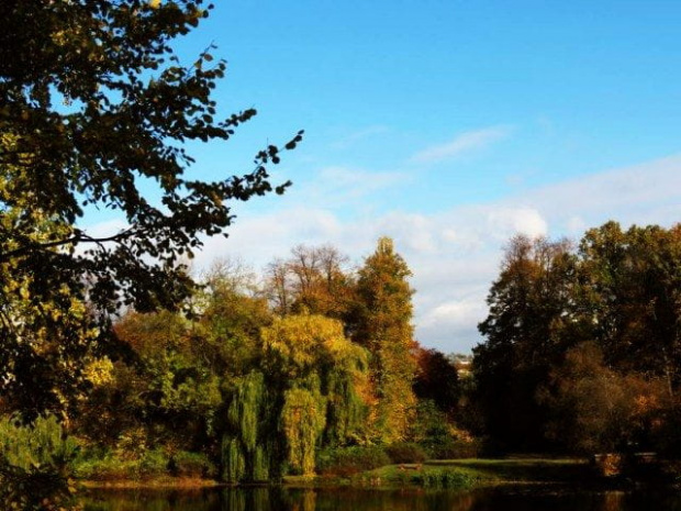 Jesień w Parku Skaryszewskim