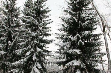 Październikowa zima w Parku Śląskim w Chorzowie, 28.10.2012 #AtakZimy #Chorzów #GórnyŚląsk #mróz #ParkŚląski #październik #Październik2012 #śnieg #ZimaNaGórnymŚląsku