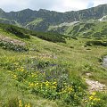 tatry