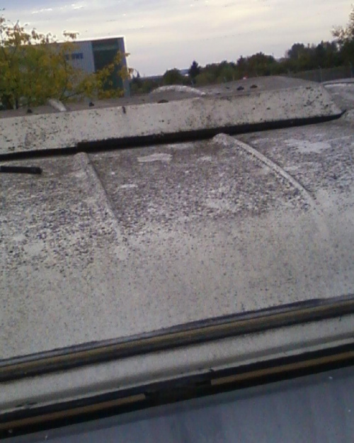 Dach mydła i szczotki nie znał od lat. #niewiadówka #przyczepa #remont
