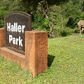 Park Hallera - pół park, pół ZOO