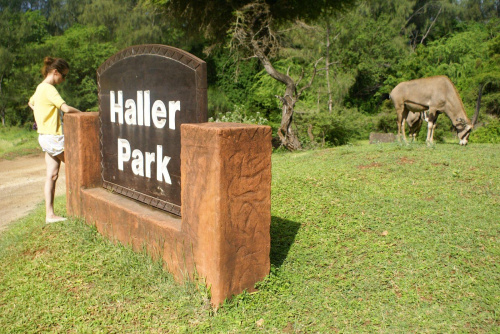 Park Hallera - pół park, pół ZOO