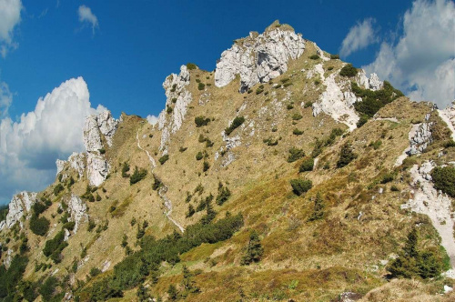 #góry #tatry #zakopane #widoki #widoczki #krajobraz #natura #park #parki #tapety #pejzaż