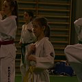 seminarium z MIstrzem Kang Cheol In 7 dan #taekwondo #tkd #walka #zawody