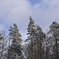 rzeka Łupawa i okolice