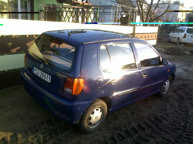 Polo