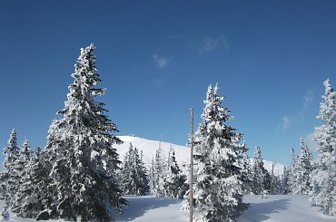 Widok na Śnieżkę od czeskiej strony :) #Karkonosze #zima #śnieg #Śnieżka