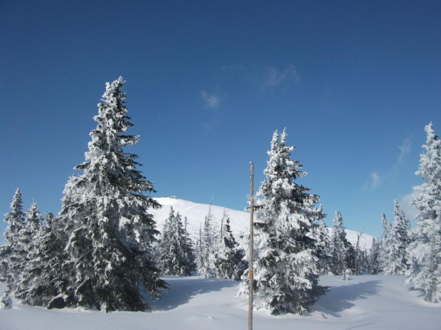 Widok na Śnieżkę od czeskiej strony :) #Karkonosze #zima #śnieg #Śnieżka