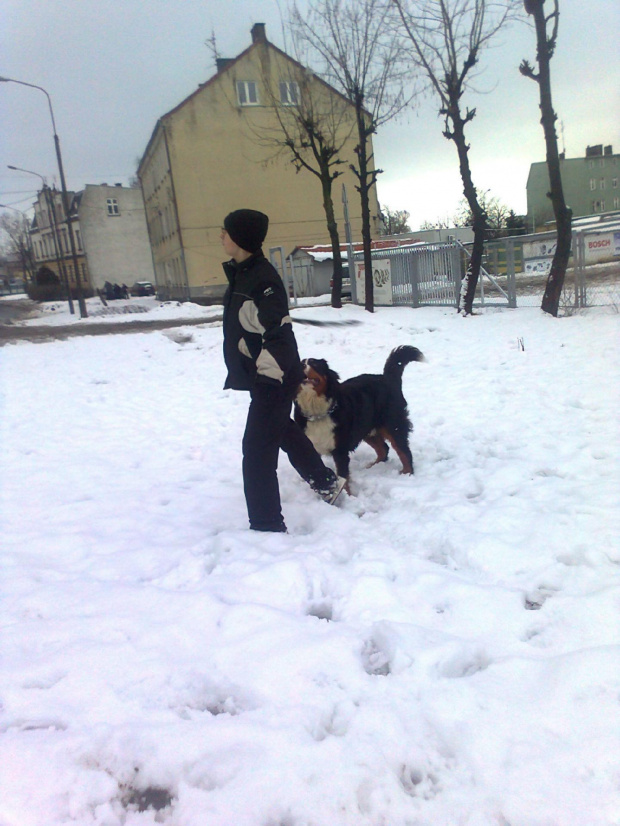 Lublin 2012 #berneńczyk #berneński #Lenar #pasterski #pies