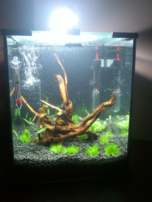 Aquael Shrimp set 30l