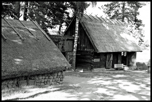 Skansen w wersji B&W