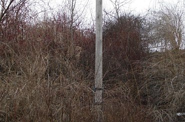 #lublin #ślimak #magooka #żaba #zwierzęta #samsung