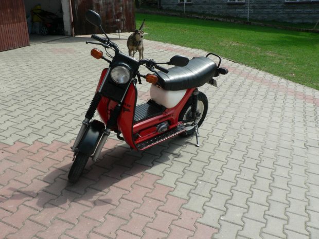 #Simson