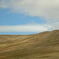 Pastwiska zubrow na Antelope Island na słonym jeziorze (Salt Lake)