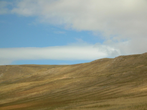 Pastwiska zubrow na Antelope Island na słonym jeziorze (Salt Lake)