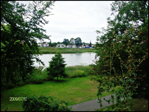 Deptak w Malborku #deptak #park #rzeka #malbork #przyroda #zieleń