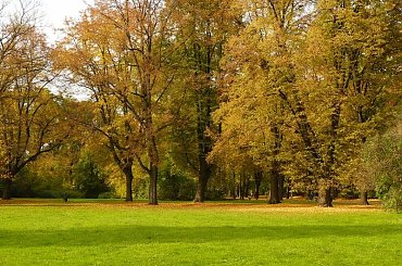 #jesień #spacery #kolorystyka #liście #park