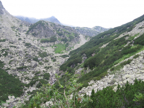 Kawałek Staroleśńej Doliny #Góry #Tatry