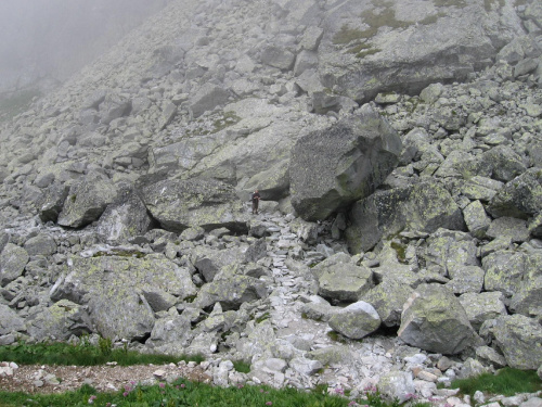 Kamienny Świat #Góry #Tatry
