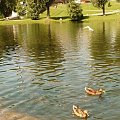 Z natura za pan brat..:)