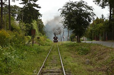 #mazowieckie #parowóz #Piaseczno #Piaseczyńska_Kolej_Wąskotorowa #Px48 #wąskotorówka