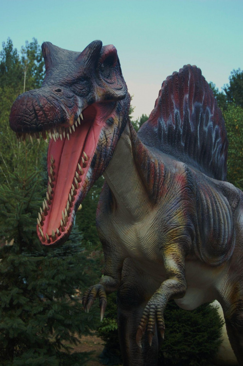 a w Rybniku jeszcze zostały... #dinozaur #DinoPark #Rybnik