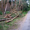 Smogorzewo i najbliższe okolice