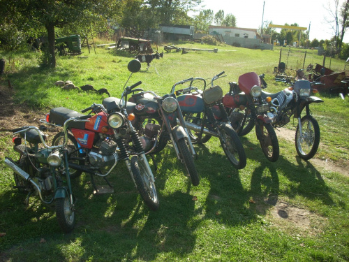 Moje wszystkie motory z wyjątkiem Delty którą pokażę później #RometPony #RometChart #WSK125 #WSK175 #YamasakiKingway