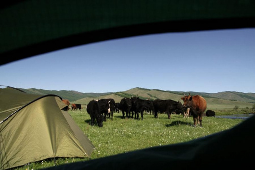 lub po prostu rozbić namiot. #mongolia