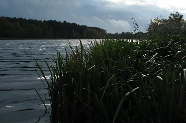 #jesień #spacer #natura