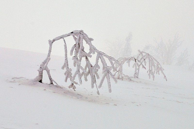 2009.03.18 TATRY