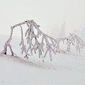 2009.03.18 TATRY