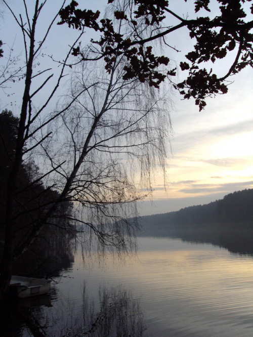 Listopad 2009 Eldorado krówka leśna #KrówkaLeśna #SokoleKuźnica #las #ryby #jezioro #ZalewKoronowski