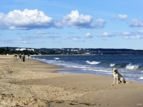 Wspominkowo - spacerkiem po plaży, Gdańsk Brzezno #plaża #Gdańsk #Brzezno #spacer #wrzesień