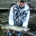 pike of river