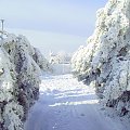 Mroźna zima. Małopolska Osiek/k Olkusza. Zdjęcia robione w pewien nudny dzień bez prądu.