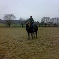 koń #koń #konie #jeździectwo