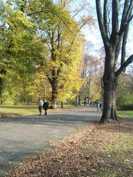 #park #jesień