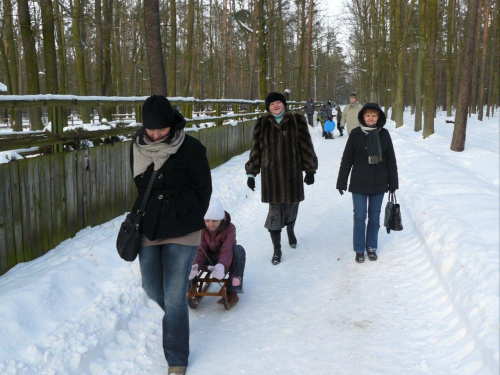 Wielkopolska Spontan centralny