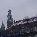 Widok na Wawel.