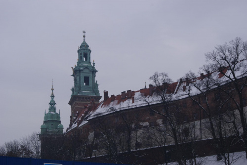 Widok na Wawel.