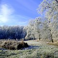 Świat bez miłości jest martwym światem i zawsze przychodzi godzina, kiedy człowiek zmęczony błaga o twarz jakiejś istoty i serce olśnione czułością.