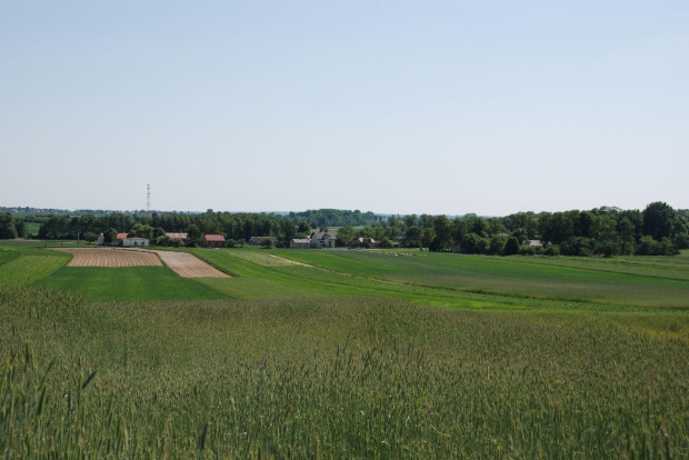 Widok z Górki w Tubądzinie #widok