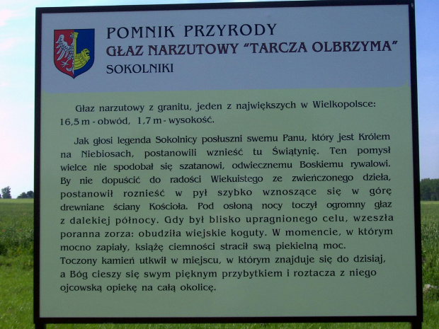 Sokolniki / Gniezno
Opis pomnika przyrody
Tarcza Olbrzymka