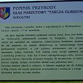 Sokolniki / Gniezno
Opis pomnika przyrody
Tarcza Olbrzymka