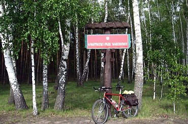 Puszcza kampinoska i rower #PuszczaKampinoska
