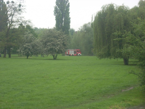 21 maja 2010, godz 11:00 Straż pożarna w trakcie interwencji nad Oławką