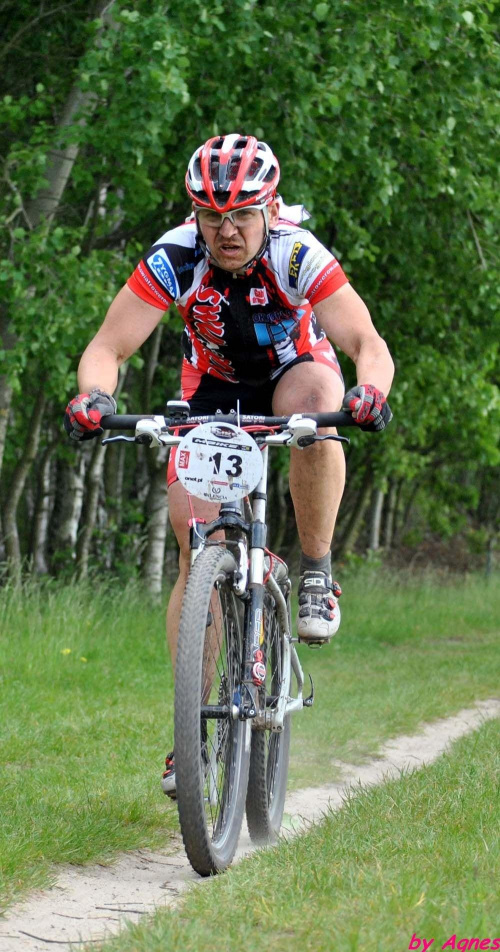 Poland Bike Maraton, Poland Bikejoring, Łuków #PolandBikeMaraton #PolandBikejoring #Łuków