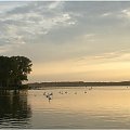 Jezioro Drwęckie... #JezioroDrwęckie #OstródaMazury